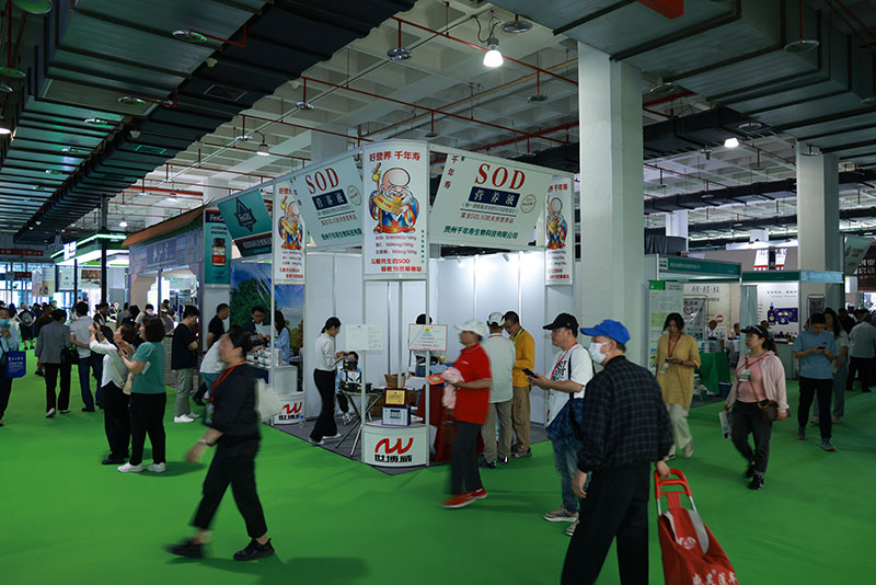 XUBO0204.jpg